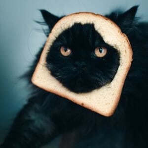 Black cat with its face poking through a slice of bread.
